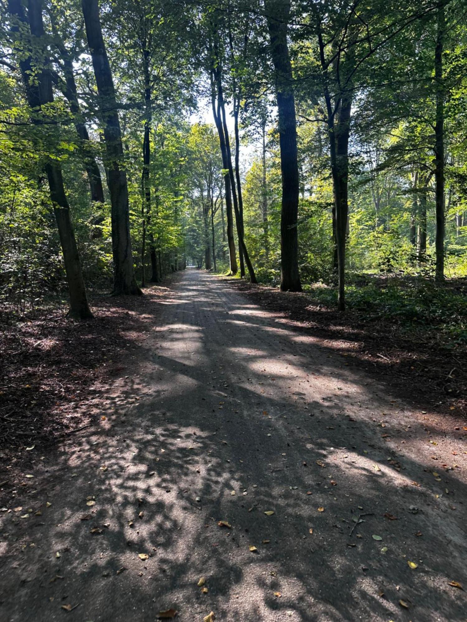 Chalet In Het Bos - Gezin - Wandelaars - Digital Nomads - Hs Wifi - Fijnspar 108 Aan de Wolfsberg Exterior photo